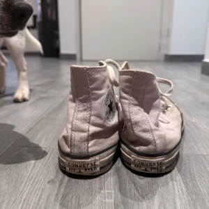 Rosa Converse sneakers - Säljer ett par klassiska rosa Converse sneakers med snörning. Skorna har en hög modell och är tillverkade i canvasmaterial. Perfekta för en avslappnad stil.