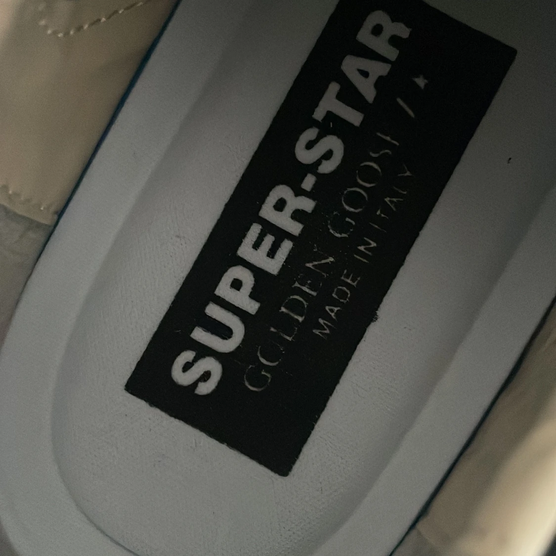 Golden goose  - 91