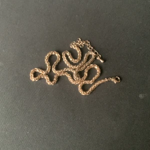Mässing halsband - 50cm mässing halsband. Inga tecken på användning.