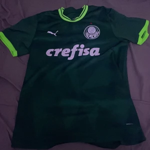 Palmeiras Puma Fotbollströja - Säljer en grön fotbollströja från Puma med korta ärmar och snygga limegröna detaljer. Tröjan har Palmeiras-loggan och Crefisa-tryck både fram och bak. Materialet är DryCell, perfekt för att hålla sig torr under matchen. Passar perfekt för fotbollsfans eller som träningsplagg!