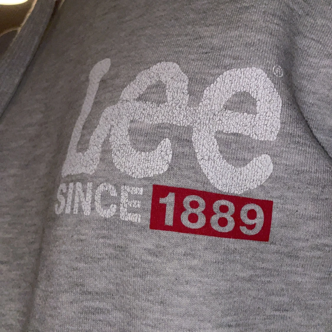 Grå hoodie från Lee - 91