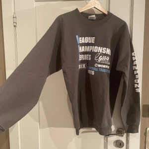 Sweatshirt från usa  - En sweatshirt som är från usa, köpt secondhand men känns väldigt ny. Den är mörkgrå och har en oversized fit men sitter ändå bra runt midja osv❤️ köpte för ca 400kr