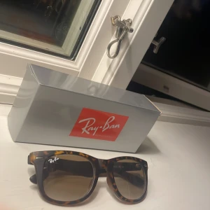 Rayban solgalssögon - Rayban solglasögon i bra skick inga repor eller skador
