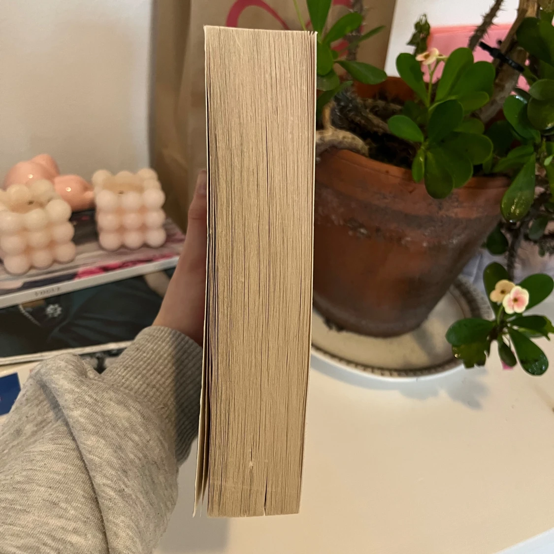 Project hail mary bok - 92