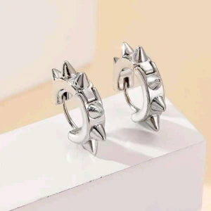 Taggörhängen - Rostfritt stål, snygga taggörhängen ❌️TRYCK INTE PÅ KÖP❌️ skriv innan,pris kan diskuteras