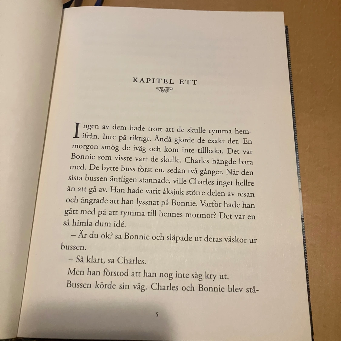 Bok - ”Mysteriet på örnklippan”  - 90