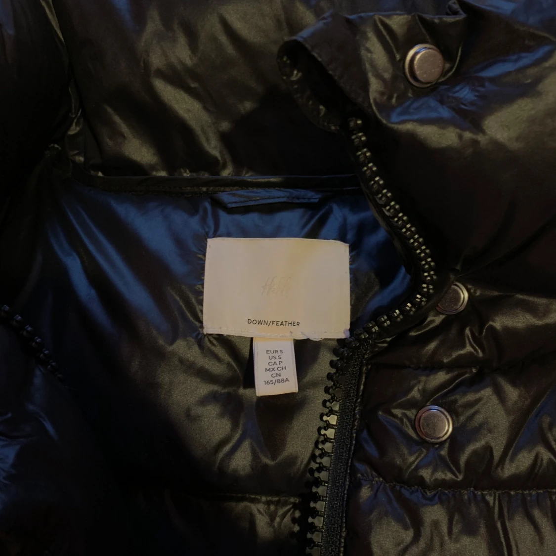 Svart kort Dunjacka  - 93