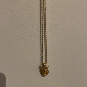 Guldhalsband med lejonhänge - Säljer ett coolt guldhalsband med ett detaljerat lejonhänge som har en kungakrona. Kedjan är tvinnad och ger en lyxig känsla. 