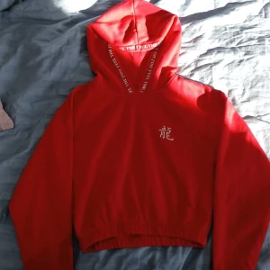 Röd croptop-hoodie från FB Sister - Säljer en cool röd hoodie från FB Sister med drakmotiv på baksidan och kinesiska tecken framtill. Hoodien har långa ärmar och en bekväm passform. Perfekt för en avslappnad stil.