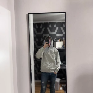 Ralph louren hoodie - Snygg och varm Ralph louren hoodie i färgen grå, storlek L han på bilden är 180cm lång. 