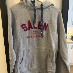 Grå hoodie från Ski Industries - Säljer en grå hoodie från Ski Industries med texten 'Sälen' i rött och blått på framsidan. Tröjan har en stor ficka framtill och justerbar huva med snören. Perfekt för kyliga dagar!