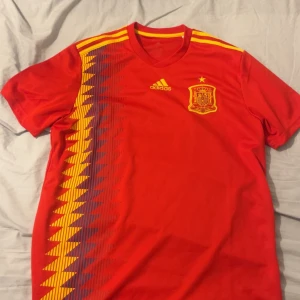 Spanien tröja vm 2018 - Säljer denna spanska fotbollströjan från vm 2018 då jag inte använder den längre. Används ett fåtal gånger. Storlek L men funkar lika bra om man har M.