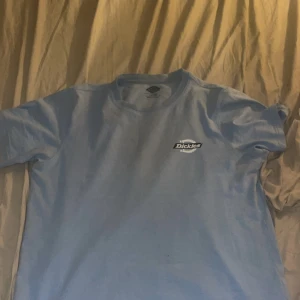 Snygg dickies t-shirt - En fin ljusblå dickies tisha med märke ifram och bak