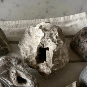 Samling av stenar och fossil - Den stora av alla ihåliga och ammonit efter överenskommelse