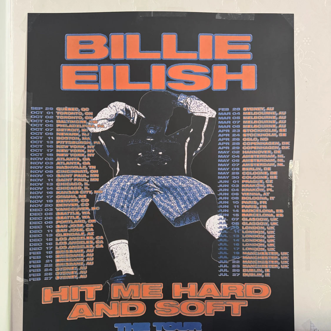 Hit Me Hard and Soft: The Tour