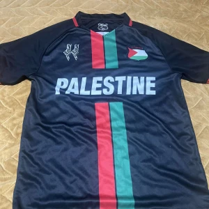 Svart fotbollströja med Palestina-tryck - Säljer en snygg svart fotbollströja med röd & grön rand framtill, PALESTINE-tryck och flagga på bröstet. Baksidan har karta och samma färgtema. Perfekt för sommardagar på planen, stranden eller stan🔥💯