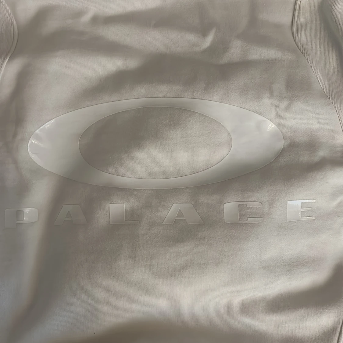 Palace x Oakley hoodie vit fw 24  - 2