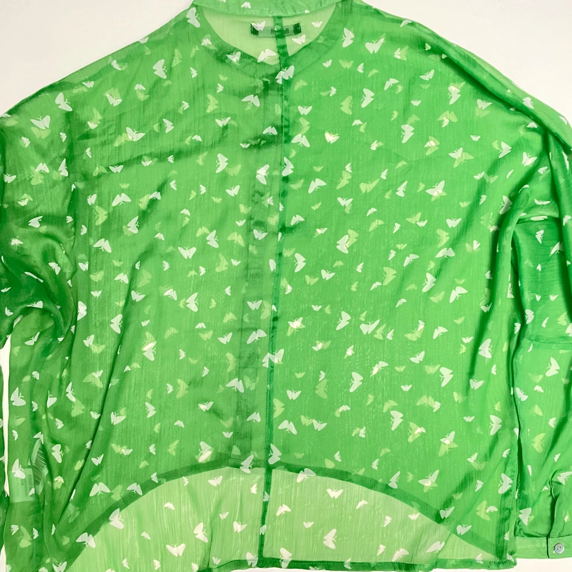 Grön Blus Fjärill - 1