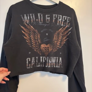 Mörkgrå croppad tröja Hollister - Cool mörkgrå croppad tröja från Hollister med tryck i brons och vitt framtill. Texten 'Wild & Free California' och vingmotiv ger en edgy vibe. Tröjan har långa ärmar, rund hals och rå kant nertill. Perfekt för dig som gillar streetstyle.