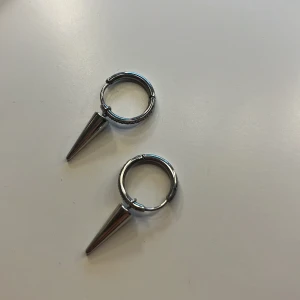 Örhängen med konformade hängen - Jättefina Edblad örhängen i silverfärg.