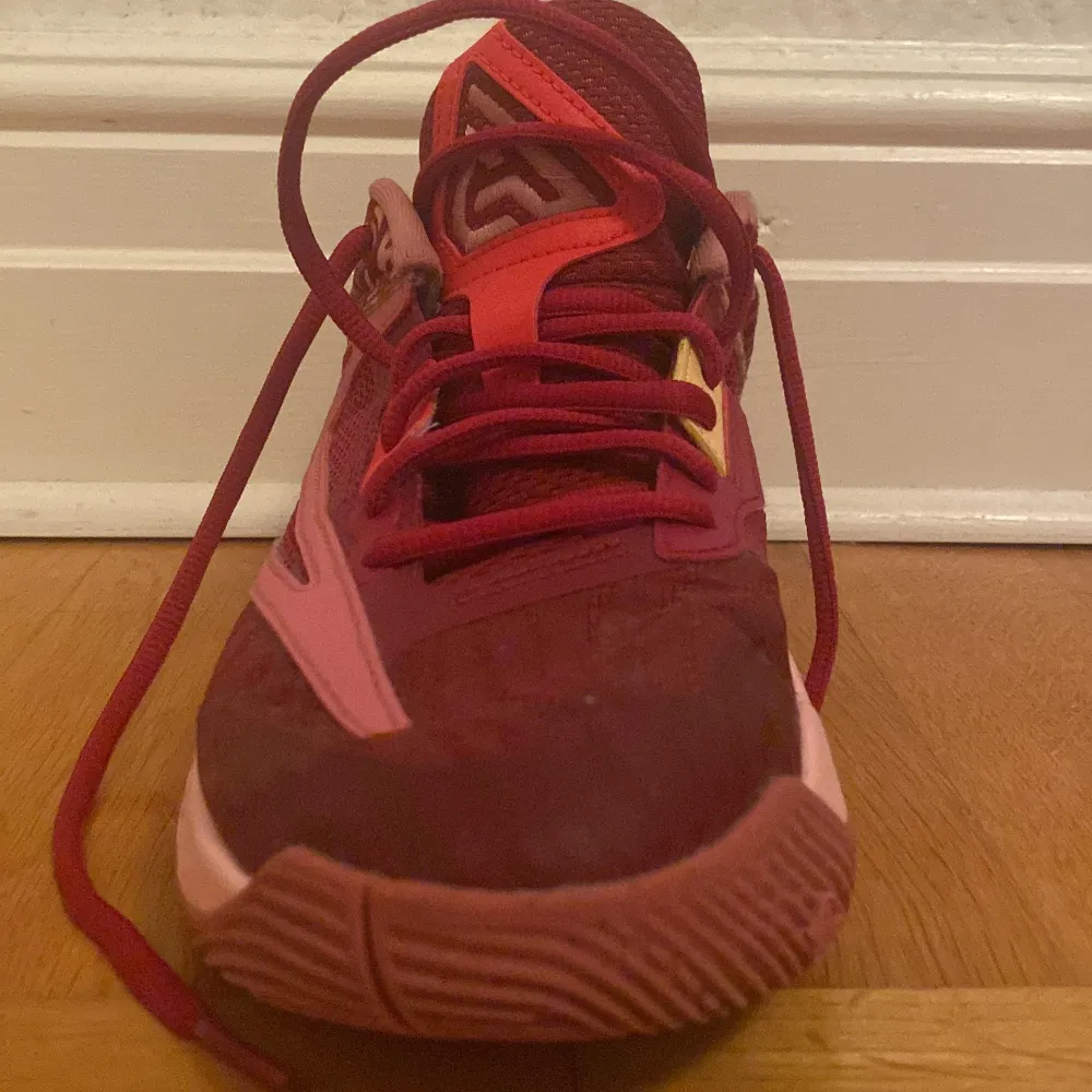 Nike skor från nba superstjärnan Giannis Antenekunmpo Storklek 40.5 Skick 7/10. Kengät.