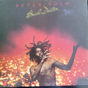 Vinyl LP Peter Tosh bush doctor 1978 - Peter tosh bush doctor på vinyl skiva LP från 1978 coc 39108 Rolling Stones records, som nyskick