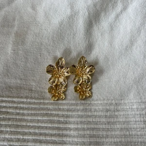 Guld örhängen  - Rostfri stål