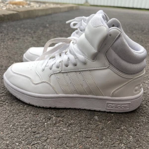 Sneakers - Adidas skor som aldrig är använd med nypris 799