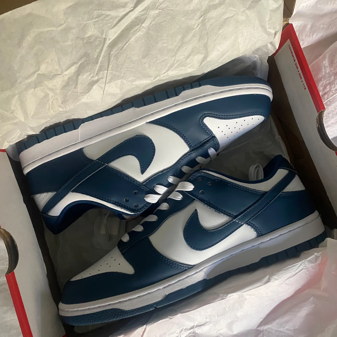 Nike Dunk Low blå och vita sneakers - 1