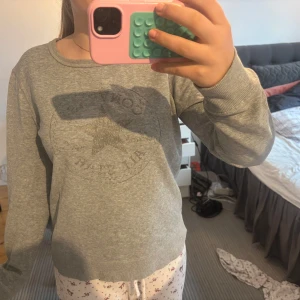 Grå sweatshirt från Converse - Säljer en grå sweatshirt från Converse med loggan på framsidan. Den är i storlek L men skulle säga att den passar S och M.