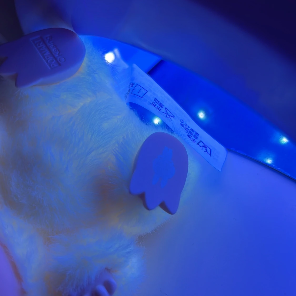 Pop Mart Labubu (sisi)  - 3