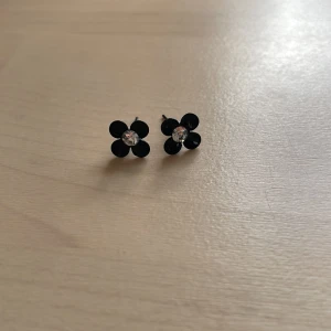 Örhängen - Svarar på alla frågor och priset kan diskuteras!