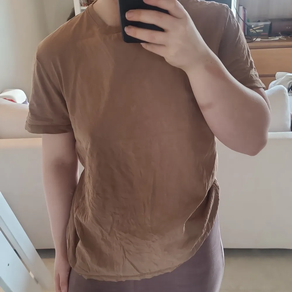 Säljer en brun t-shirt från Burton Menswear med rund hals och korta ärmar. Storlek S för herrar, så för tjejer lite oversized eller stlk M.. T-paidat.