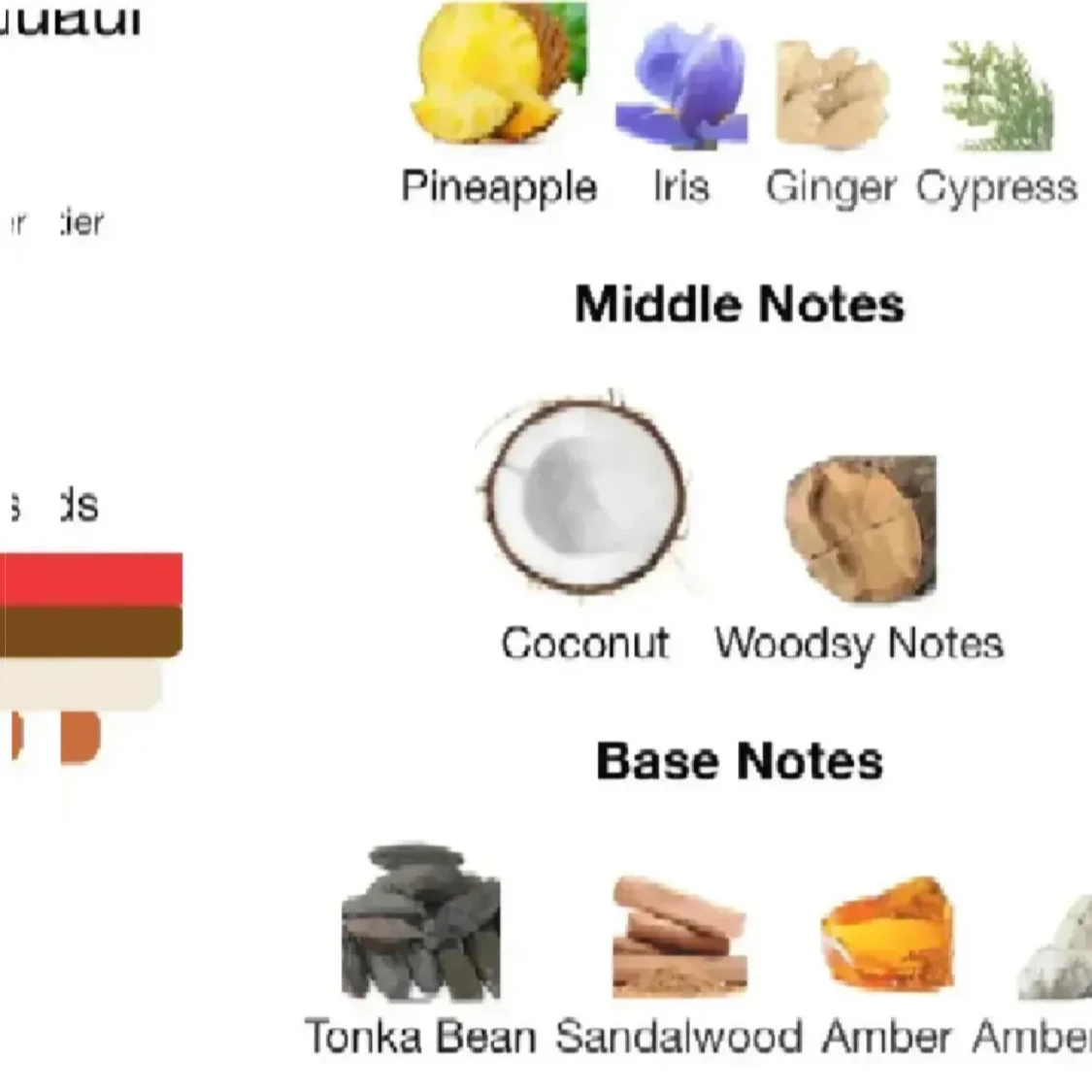 JPG LE BLEU LE PARFUM - 2