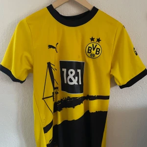 Borussia Dortmund Adeyemi matchtröja - Gul och svart Borussia Dortmund fotbollströja från Puma med tryck av Adeyemi och nummer 27 på ryggen. Tröjan har svarta detaljer vid krage och ärmslut, klubbmärke och sponsorlogga framtill samt grafiskt tryck. Tillverkad i lätt och ventilerande material.