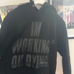 ”I’m working on dying” hoodie  - Hoodie från reckless scholars i ny skick
