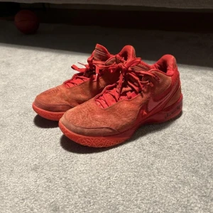 Basketskor. Nike lebron NXXT gen 21 - Nike basketskor storlek 42,5. Jag har ägt skorna i en termin ca 6 månader. Jag har vart jätte nöjd med hur den har presterat på plan men jag har tyvärr växt ur dem. Skorna är signerade av Amanda zahui en WNBA spelare och Nick Burek. Jag har lådan kvar men inget kvitto. Priset kan förhandlas.