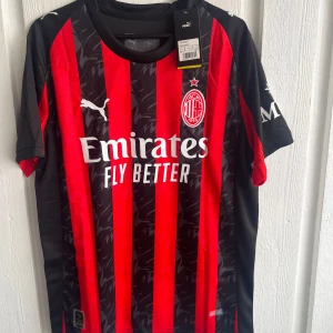 AC Milan Modric 14 Puma fotbollströja - Snygg AC Milan fotbollströja från Puma med Modric och nummer 14 på ryggen. Tröjan har klassiska röda och svarta vertikala ränder med subtilt mönster, vit Puma-logga och Emirates Fly Better tryck på bröstet. Kortärmad och tillverkad i lätt, ventilerande material.