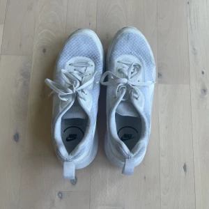 Nike träningsskor - Har hållit sig hyfsat rena, bara använda inomhus på gymmet.