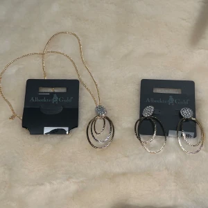 Smyckesätt - Halsband och örhängen. Helt nya med prislapp.  