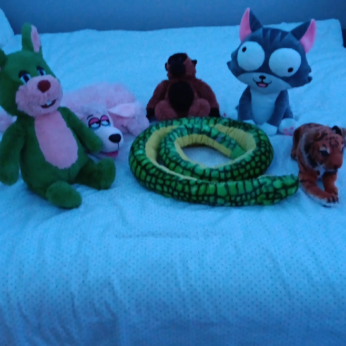 6 medel stora godsedjur