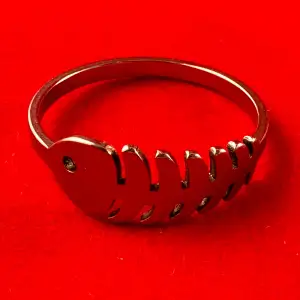 En ring i rostfritt stål med en diameter på ca 20 mm