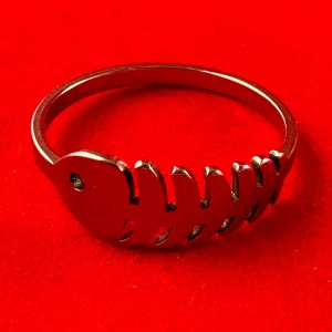 Häftig ring i rostfritt stål - En ring i rostfritt stål med en diameter på ca 20 mm