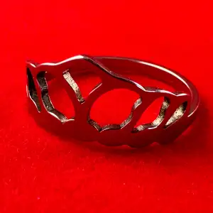 En ring i rostfritt stål med en diameter på ca 19 mm