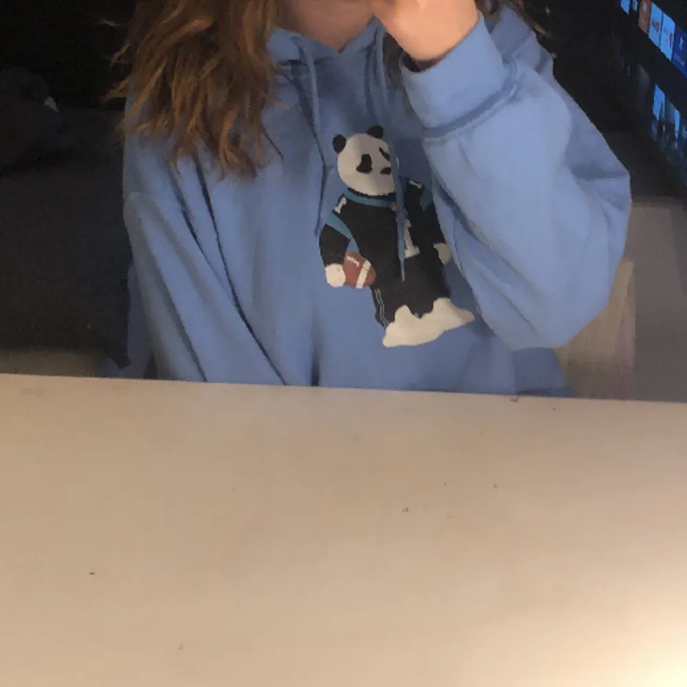 Färg: blå  Storlek: S-M  Hoodie med en panda på 💙 Använd: 2 gånger  Säljer för att: den inte kommer till användning!💙 Skriver ett pris men ni kan skriva privat till mig om ett annat pris om ni vill! 😁❤️. Hoodies.