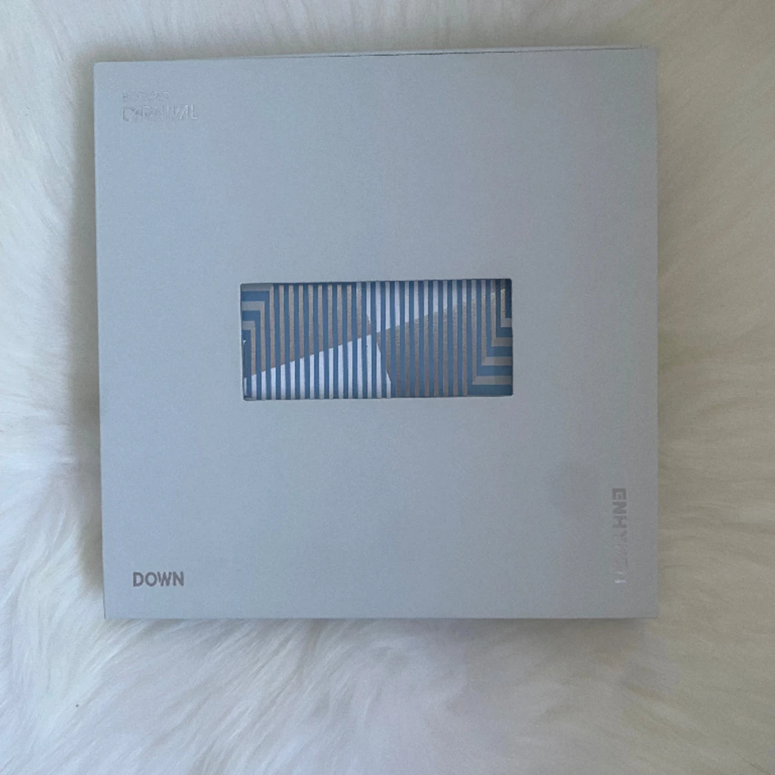 enhypen border carnival 