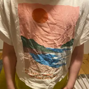 Jättefin t-shirt från zara passar bara inte mig i storlek bra skick skriv innan köp pris kan diskuteras från zara i storlek 11-12 år 152 cm