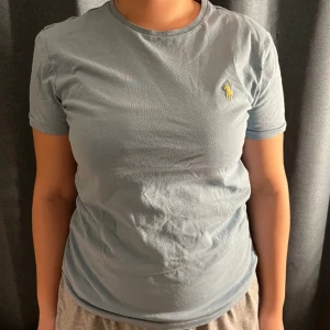 Ralph lauren t shirt  - Ralph Lauren t shirt som jag har använt ca 3 gånger, inga defekter och som nu ungefär!💗