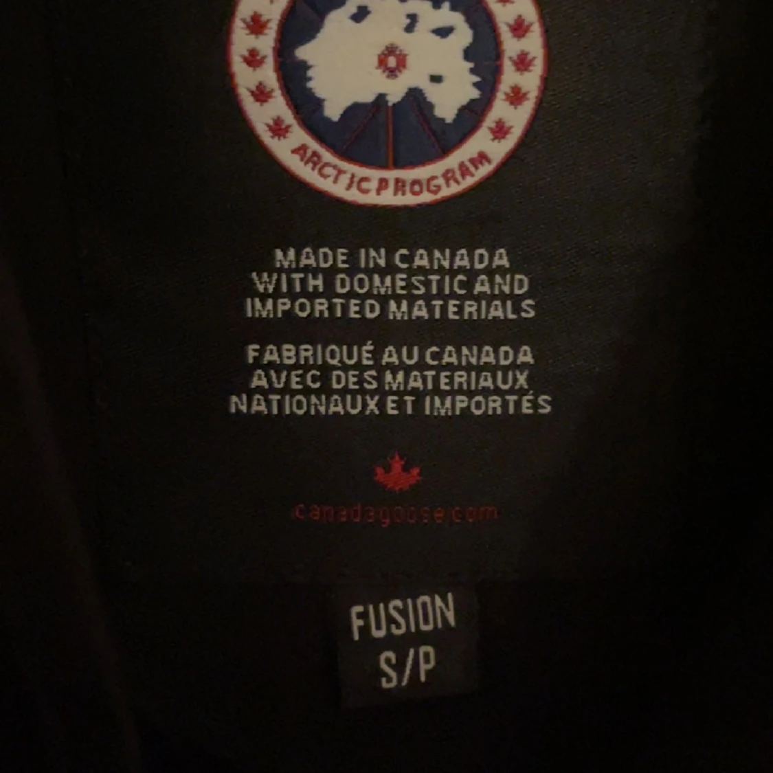 Canada goose - 91