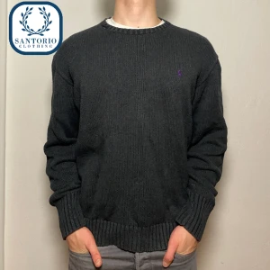 Ralph Lauren Tröja | Svart, lila märke - Väldigt fin Ralph Lauren tröja i använt skick (ett litet hål vid kragen men är lätt att laga) därav priset🙌 Han på bilden är ca 175 (Står L men passar S)  Skriv vid frågor eller funderingar🍾